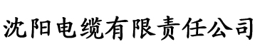 无敌铁骑士电缆厂logo